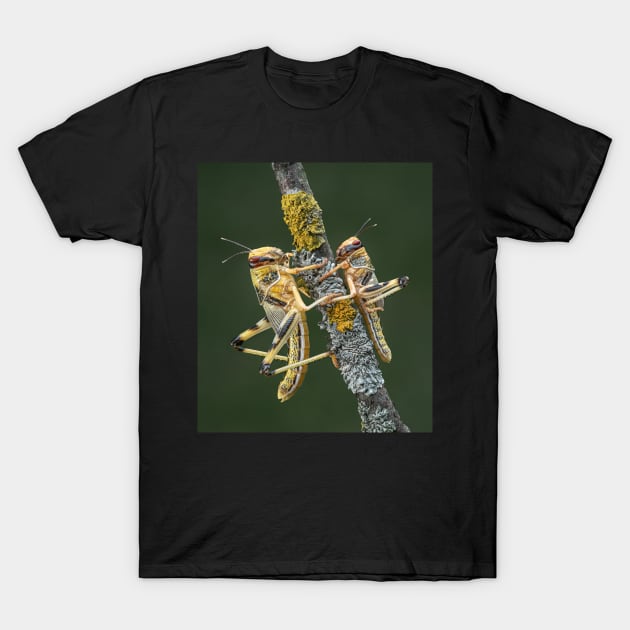 Desert Locusts T-Shirt by TonyNorth